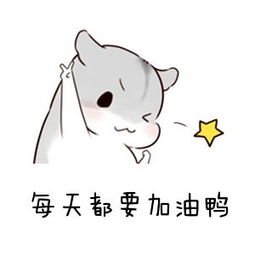 07c1a745f353beeb574f44d968b99256.png